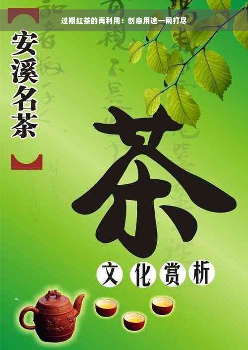 过期红茶的再利用：创意用途一网打尽