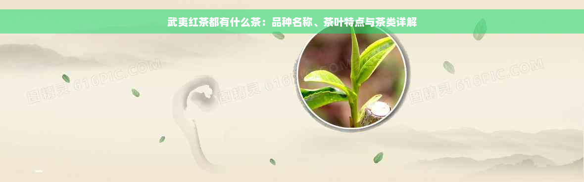 武夷红茶都有什么茶：品种名称、茶叶特点与茶类详解