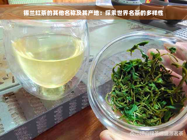 锡兰红茶的其他名称及其产地：探索世界名茶的多样性