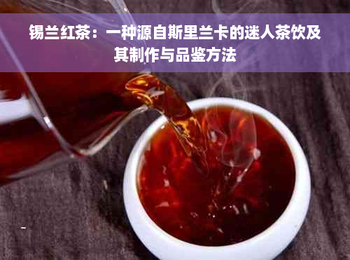 锡兰红茶：一种源自斯里兰卡的迷人茶饮及其制作与品鉴方法