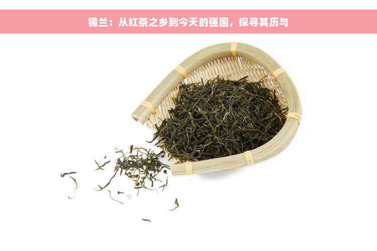 锡兰：从红茶之乡到今天的强国，探寻其历与