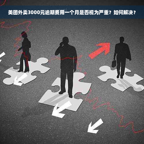 美团外卖3000元逾期费用一个月是否视为严重？如何解决？