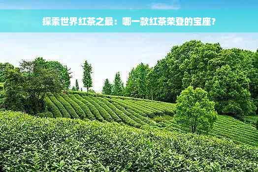 探索世界红茶之最：哪一款红茶荣登的宝座？