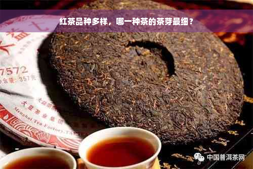 红茶品种多样，哪一种茶的茶芽最细？