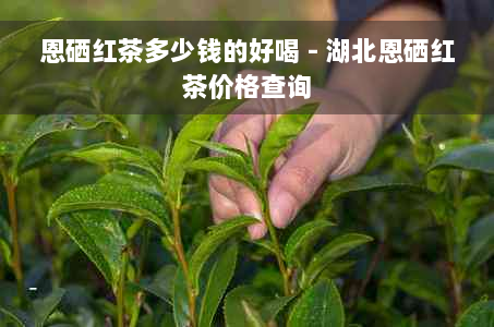 恩硒红茶多少钱的好喝 - 湖北恩硒红茶价格查询