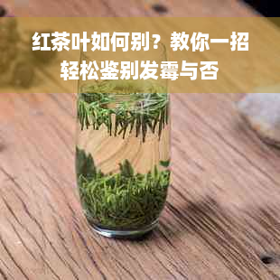 红茶叶如何别？教你一招轻松鉴别发霉与否