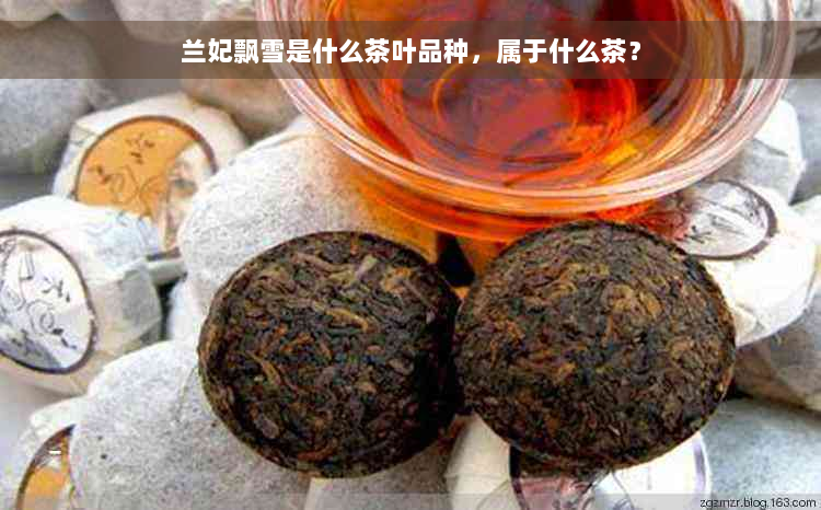 兰妃飘雪是什么茶叶品种，属于什么茶？