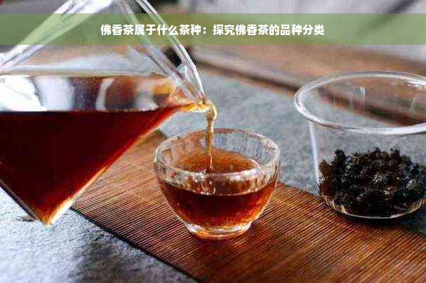 佛香茶属于什么茶种：探究佛香茶的品种分类