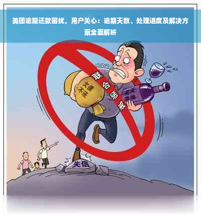 美团逾期还款困扰，用户关心：逾期天数、处理进度及解决方案全面解析