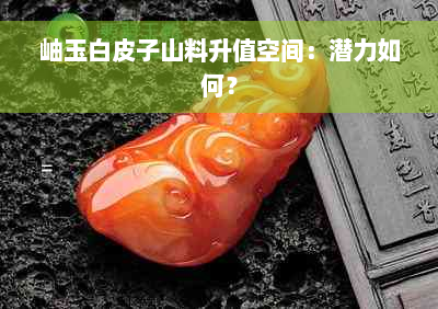 岫玉白皮子山料升值空间：潜力如何？