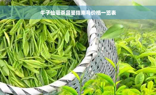 午子仙毫茶品鉴指南与价格一览表