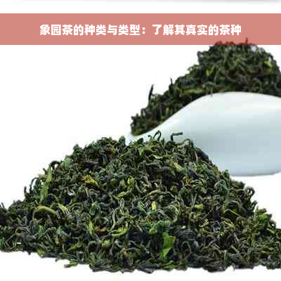 象园茶的种类与类型：了解其真实的茶种