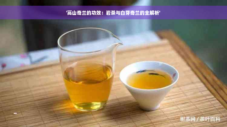 '高山奇兰的功效：岩茶与白芽奇兰的全解析'