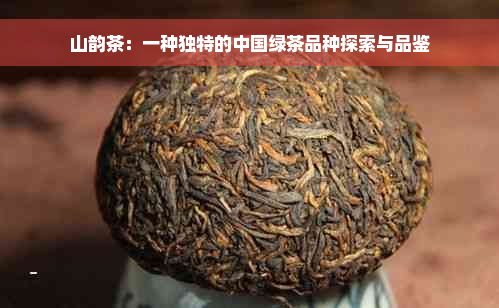 山韵茶：一种独特的中国绿茶品种探索与品鉴