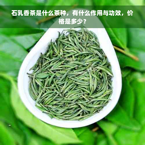 石乳香茶是什么茶种，有什么作用与功效，价格是多少？