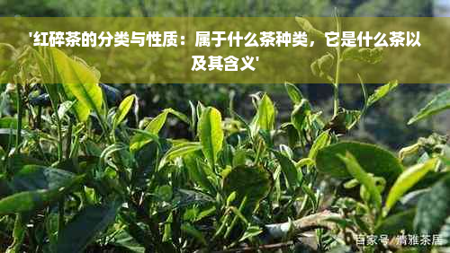 '红碎茶的分类与性质：属于什么茶种类，它是什么茶以及其含义'