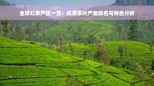 全球红茶产区一览：优质茶叶产地排名与特色分析