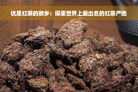 优质红茶的故乡：探索世界上最出名的红茶产地