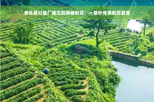 安化县红茶厂成立的具体时间：一茶叶传承的历篇章