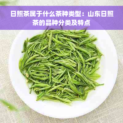 日照茶属于什么茶种类型：山东日照茶的品种分类及特点