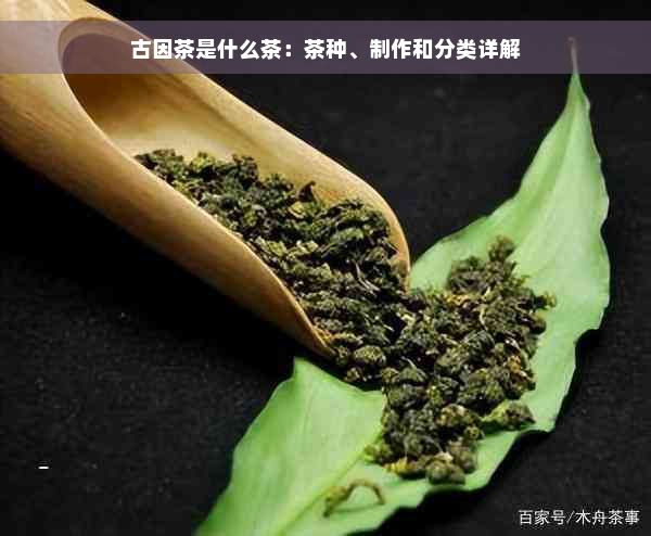 古因茶是什么茶：茶种、制作和分类详解