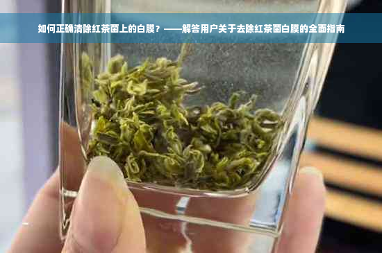 如何正确清除红茶菌上的白膜？——解答用户关于去除红茶菌白膜的全面指南