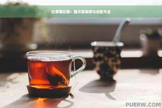 红茶菌白膜：揭示其真相与去除方法