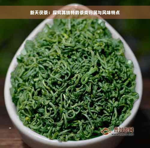 新天茯茶：探究其独特的茶类归属与风味特点