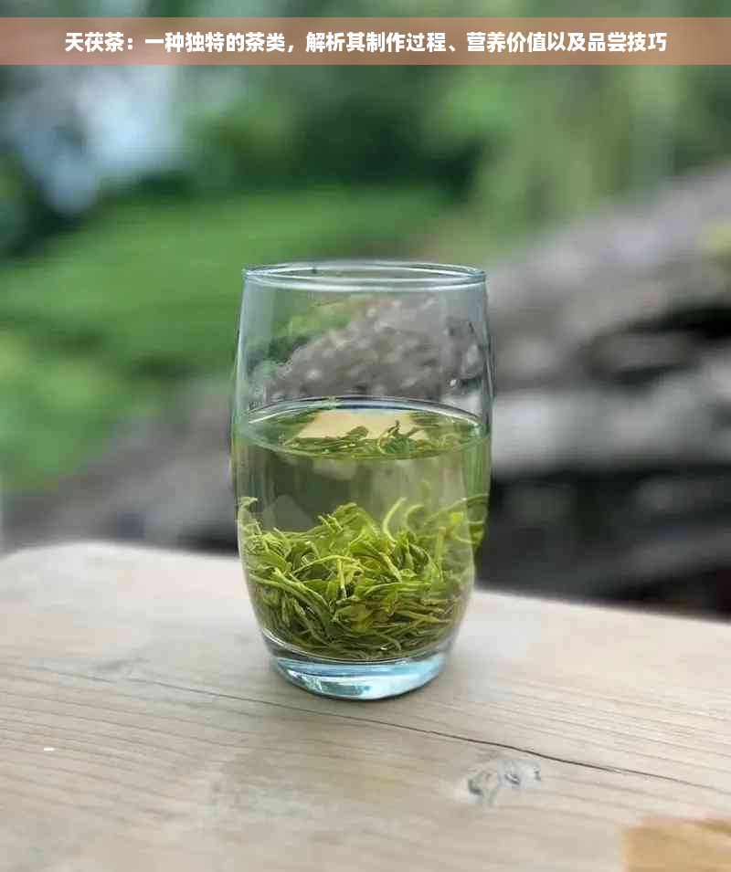 天茯茶：一种独特的茶类，解析其制作过程、营养价值以及品尝技巧