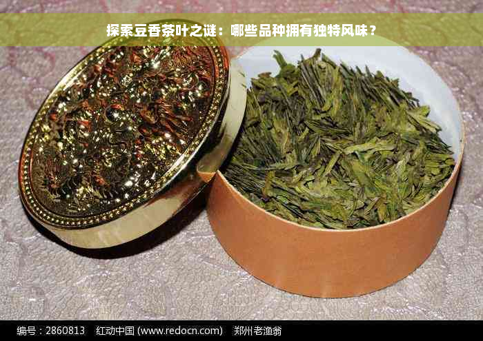 探索豆香茶叶之谜：哪些品种拥有独特风味？