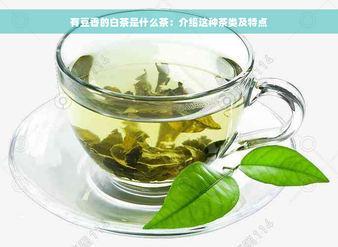 有豆香的白茶是什么茶：介绍这种茶类及特点