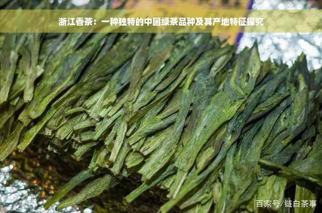 浙江香茶：一种独特的中国绿茶品种及其产地特征探究