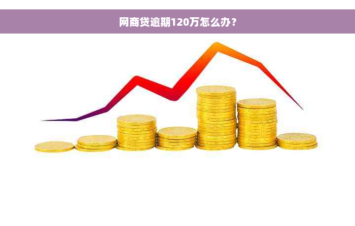 网商贷逾期120万怎么办？