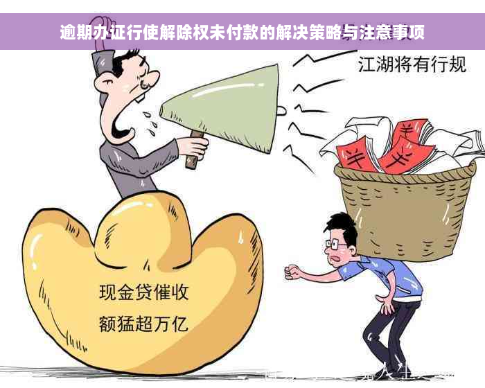 逾期办证行使解除权未付款的解决策略与注意事项