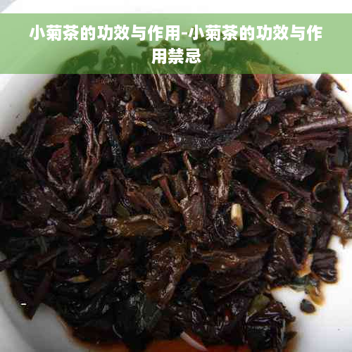 小菊茶的功效与作用-小菊茶的功效与作用禁忌