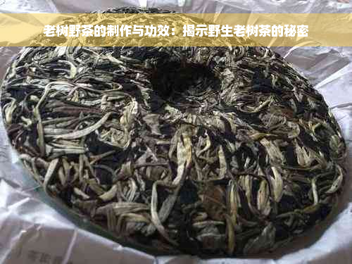 老树野茶的制作与功效：揭示野生老树茶的秘密