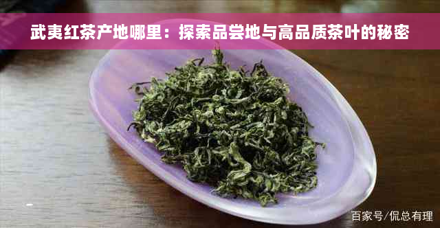 武夷红茶产地哪里：探索品尝地与高品质茶叶的秘密