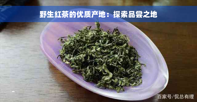 野生红茶的优质产地：探索品尝之地