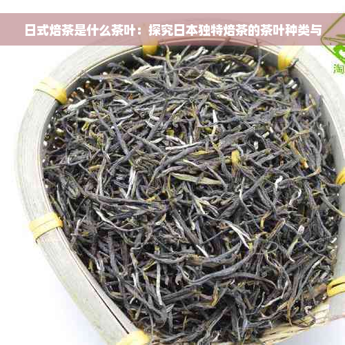 日式焙茶是什么茶叶：探究日本独特焙茶的茶叶种类与