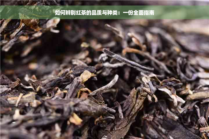 如何辨别红茶的品质与种类：一份全面指南