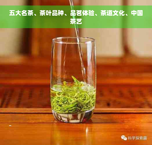 五大名茶、茶叶品种、品茗体验、茶道文化、中国茶艺