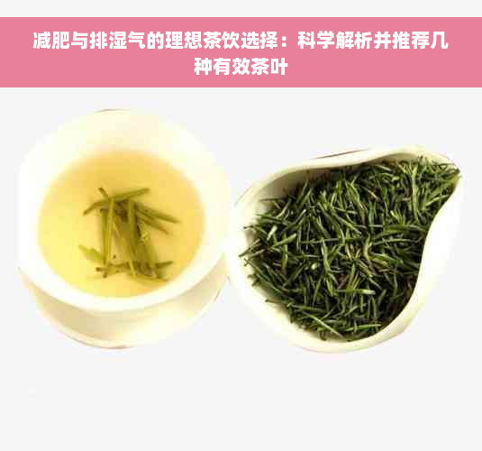 减肥与排湿气的理想茶饮选择：科学解析并推荐几种有效茶叶