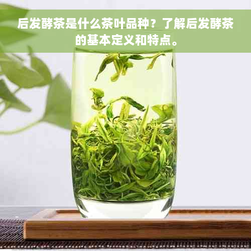 后发酵茶是什么茶叶品种？了解后发酵茶的基本定义和特点。