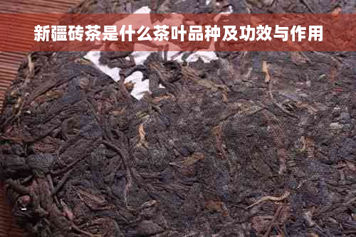 新疆砖茶是什么茶叶品种及功效与作用