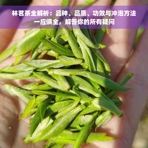 林茗茶全解析：品种、品质、功效与冲泡方法一应俱全，解答你的所有疑问