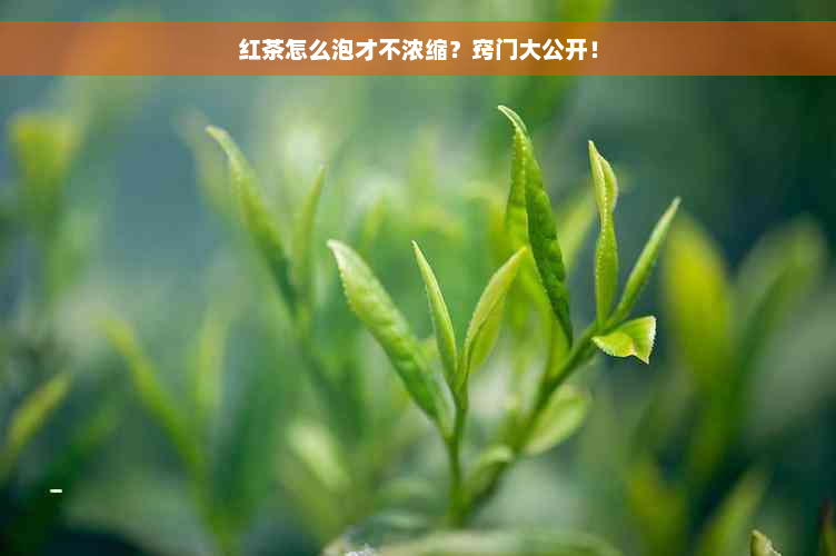 红茶怎么泡才不浓缩？窍门大公开！