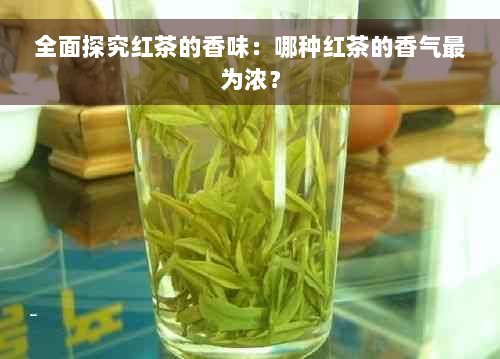 全面探究红茶的香味：哪种红茶的香气最为浓？