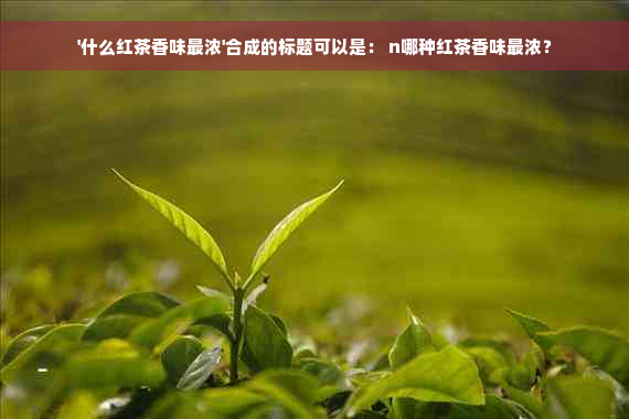 '什么红茶香味最浓'合成的标题可以是： n哪种红茶香味最浓？