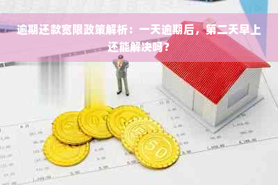 逾期还款宽限政策解析：一天逾期后，第二天早上还能解决吗？