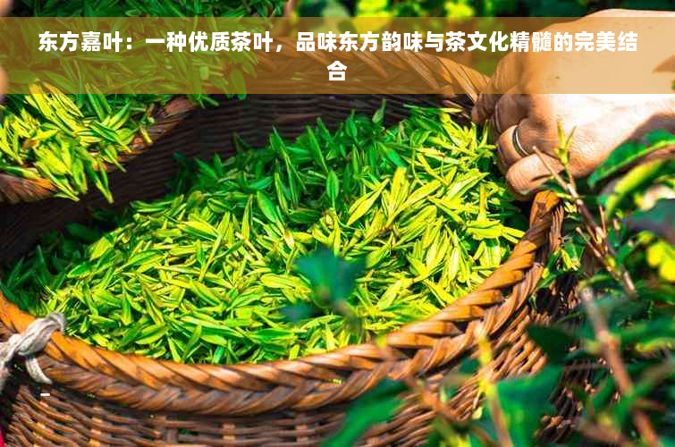 东方嘉叶：一种优质茶叶，品味东方韵味与茶文化精髓的完美结合